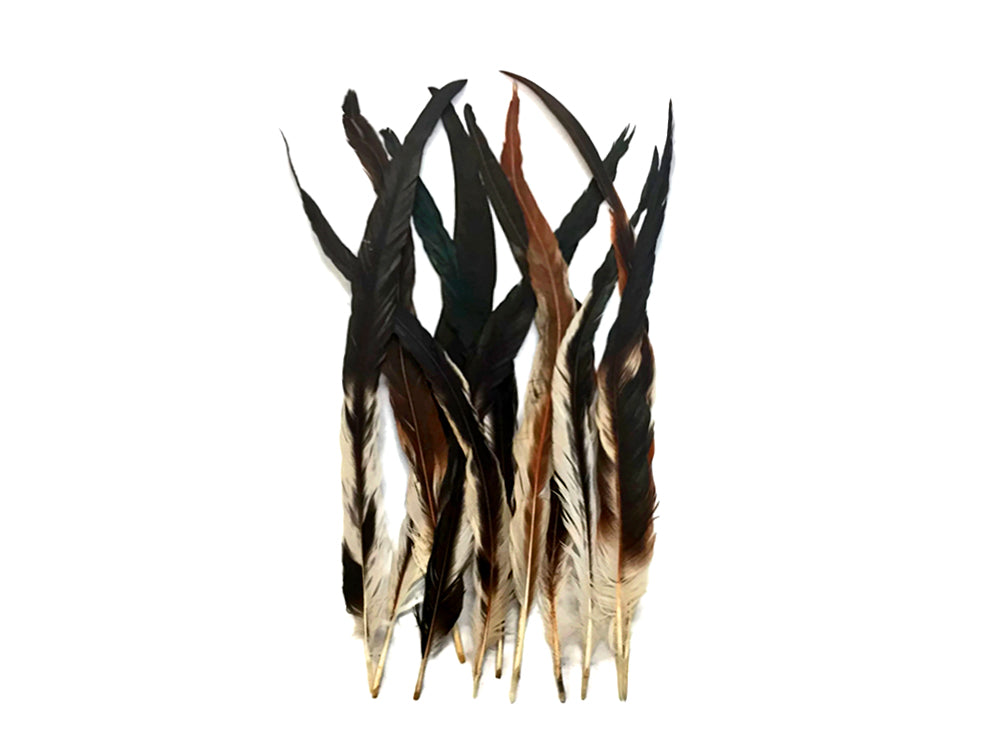 10 pieces - 16-18" Natural Brown Cream Mix Accent Feathers for Wedding Bouquets & Boutonnieres