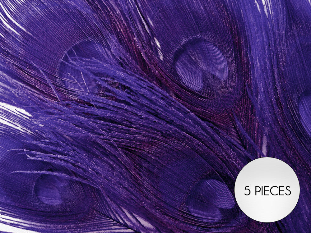 5 Pieces – Eggplant Bleached & Dyed Peacock Tail Eye Feathers 10-12” Long