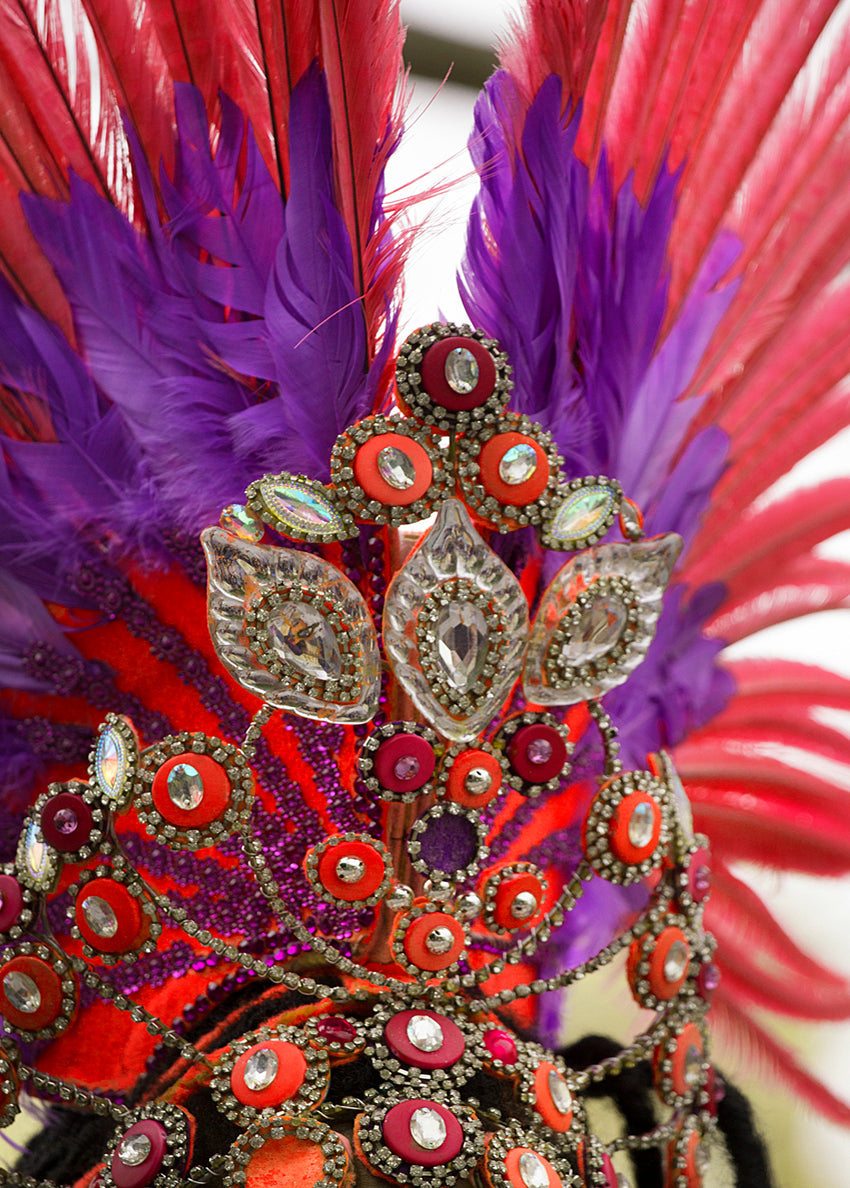 50 pieces - 18-22" Burgundy Bleached Dyed Ringneck Accent Feathers for Wedding Backdrops & Arches