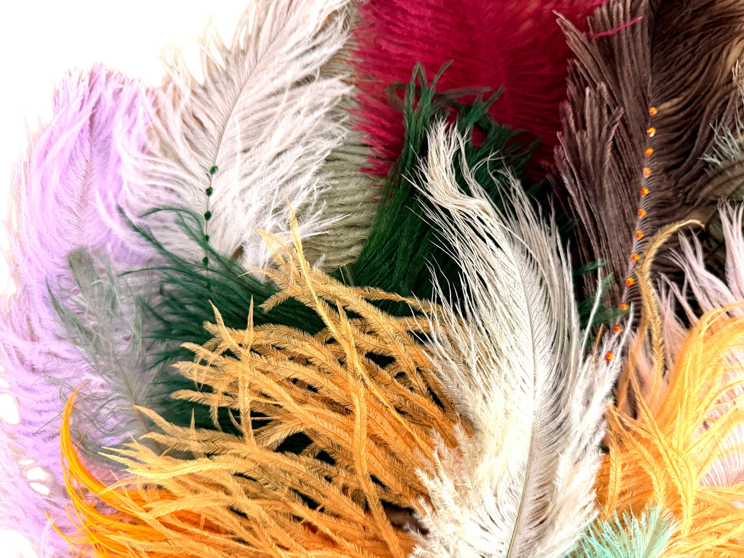 Collection Mix Random Accent Feathers for Wedding Backdrops & Arches