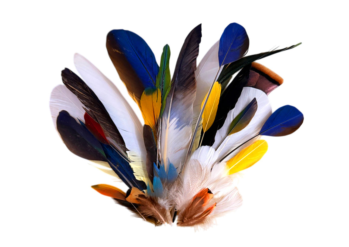 Collection Mix Random Accent Feathers for Wedding Backdrops & Arches