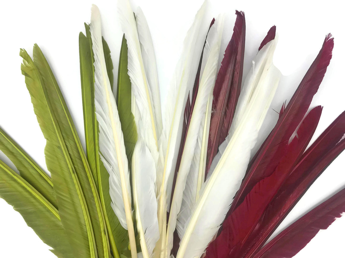 50 oz - Green Pack Olive Primary Accent Feathers for Wedding Centerpieces