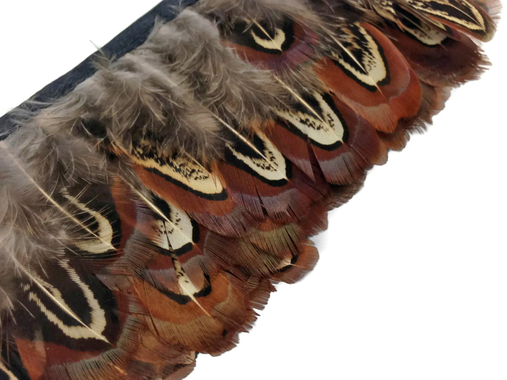1 yard - Natural Almond Ringneck Brown Accent Feathers for Wedding Backdrops & Arches