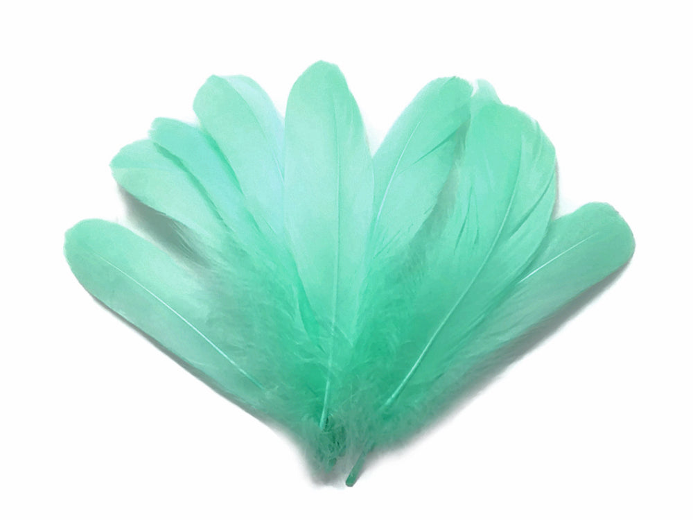 A quarter pound - Green Aqua Nagoire Accent Feathers for Wedding Backdrops & Arches