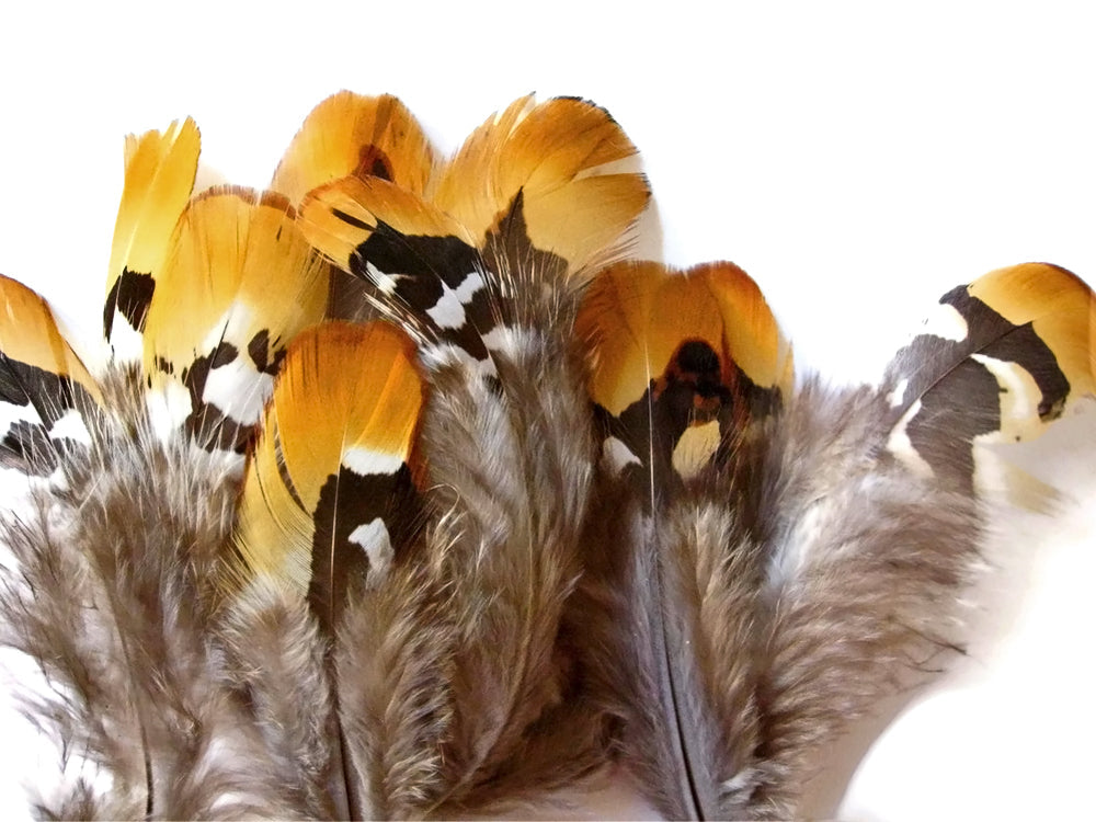6 pieces - Yellow Big Golden Reeve Accent Feathers for Wedding Centerpieces