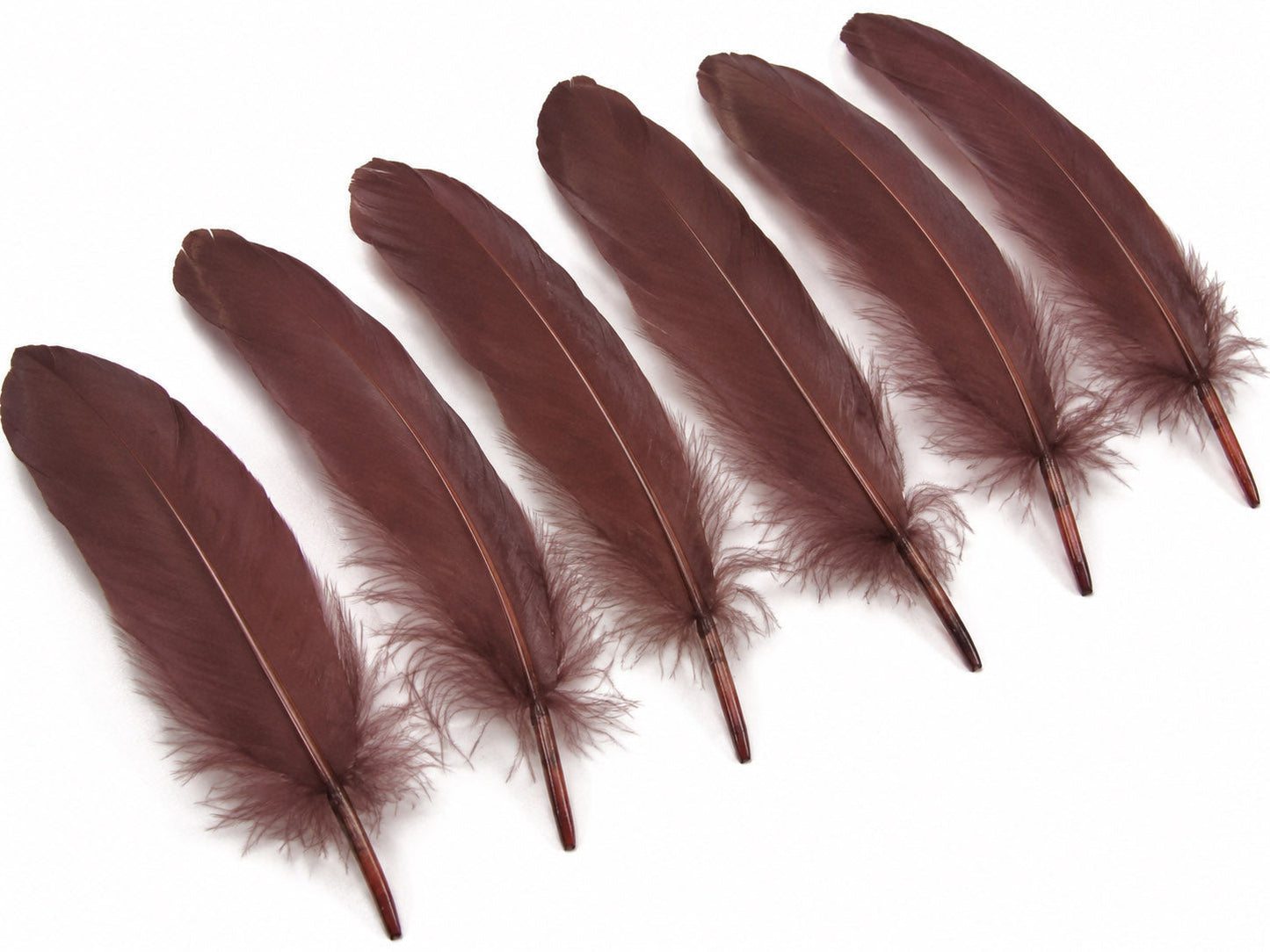 A quarter pound - Brown Satinettes Pallet Soft Accent Feathers for Wedding Backdrops & Arches