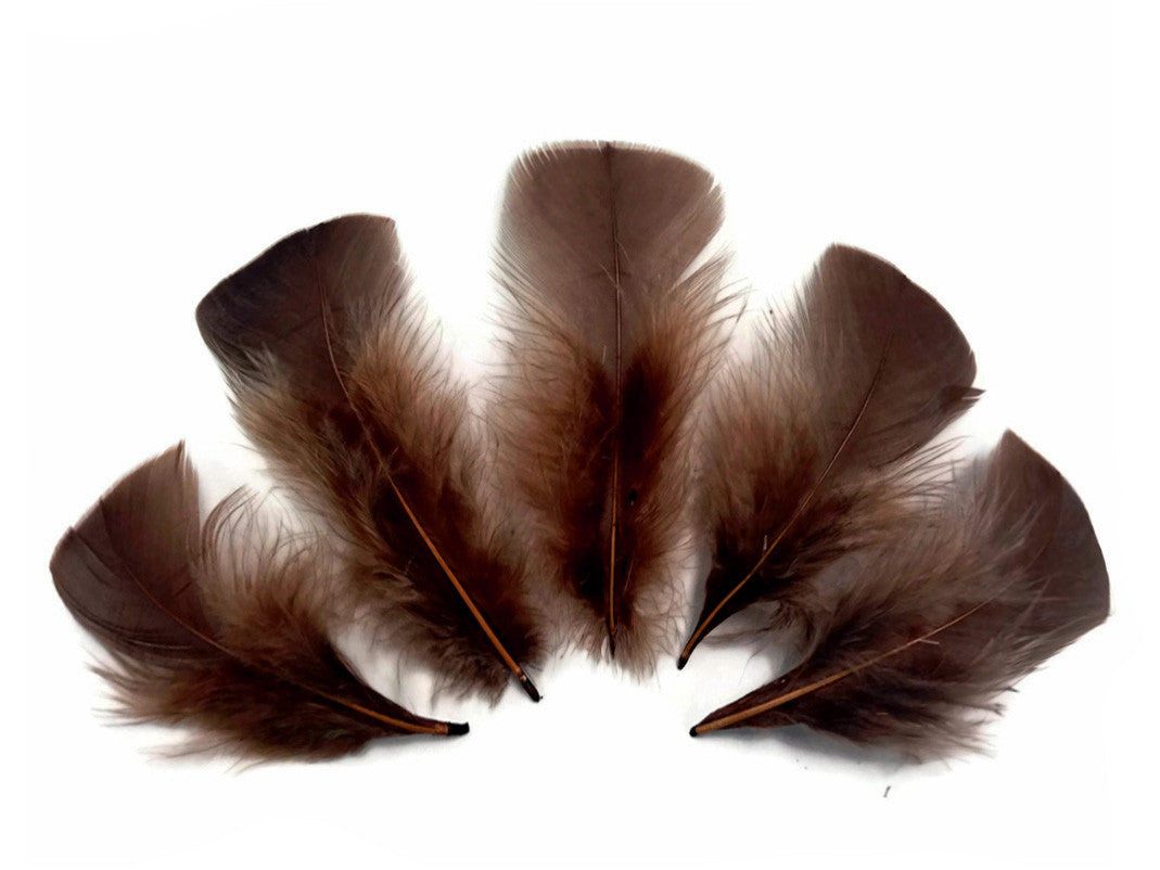 1/4 Lb - Coffee Brown Turkey T-Base Plumage Wholesale Feathers (Bulk)