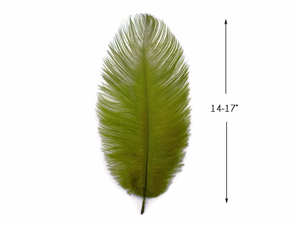10 Pieces - 14-17" Olive Green Ostrich Dyed Drab Body Feathers