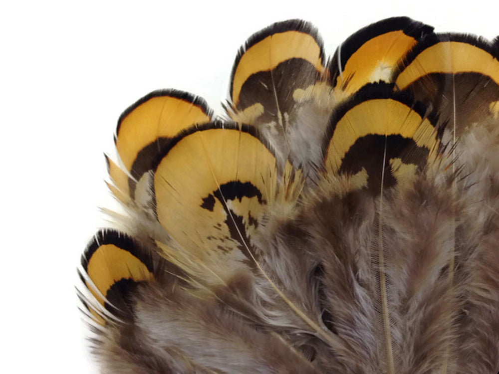 10 oz - Yellow Pack Golden Reeves Accent Feathers for Wedding Centerpieces