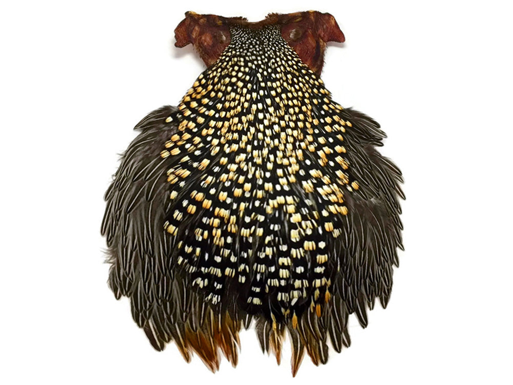 1 piece - Natural Grade B Gold Accent Feathers for Wedding Backdrops & Arches