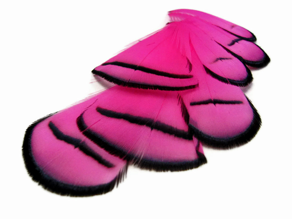 1 dozen - Hot Pink Dyed Lady Amherst Accent Feathers for Wedding Centerpieces