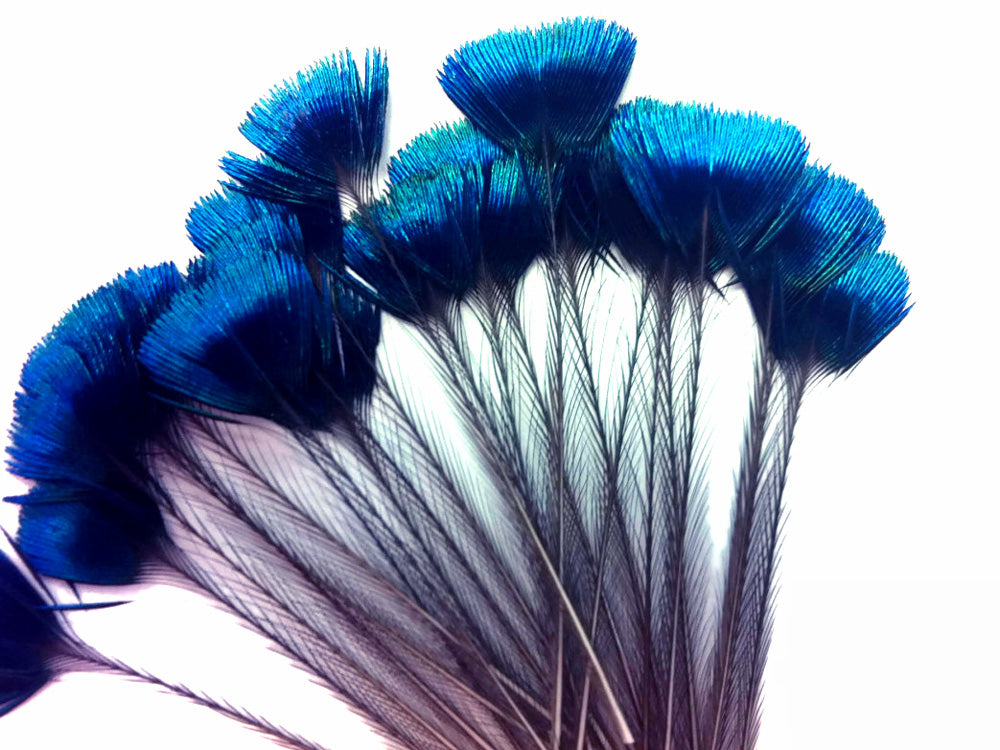 10 pieces - Blue Iridescent Crown Corona Peacock Feathers for Wedding Bouquets & Boutonnieres