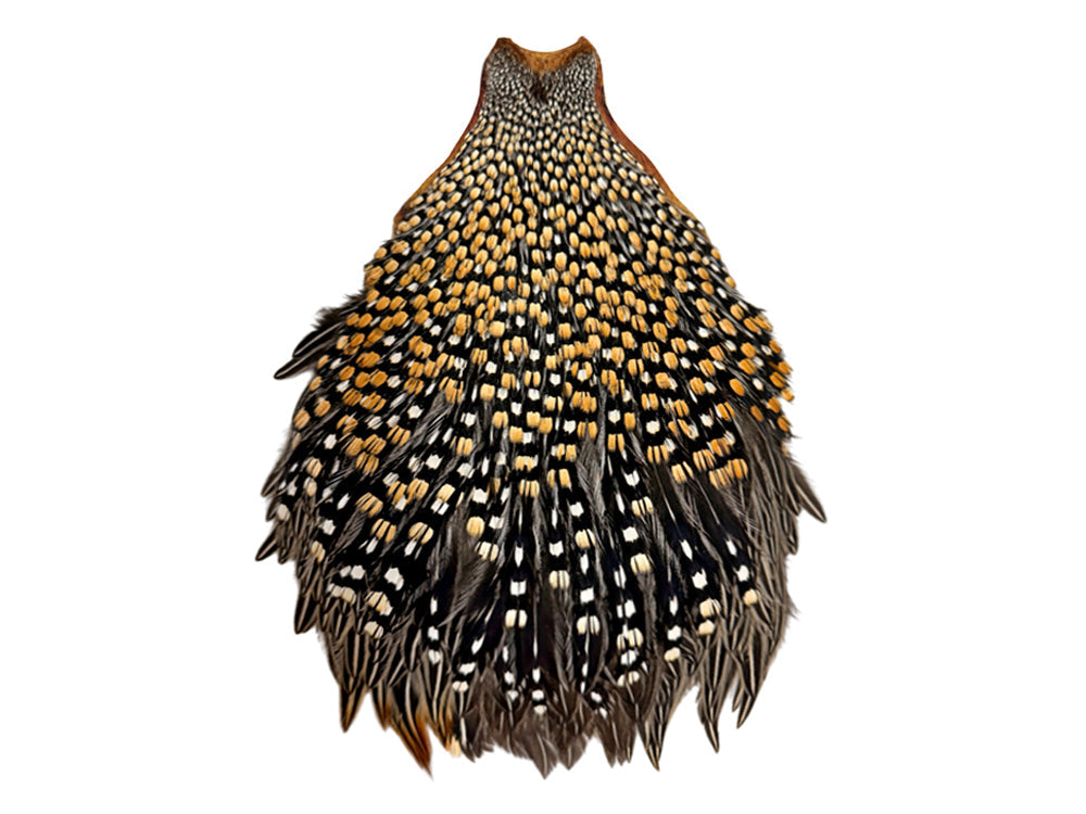 1 piece - Natural Grade Gold Jungle Accent Feathers for Wedding Backdrops & Arches