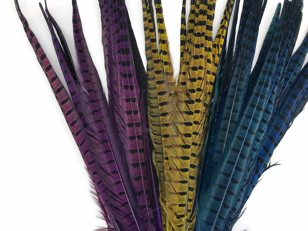 50 pieces - 18-22" Natural Blue Dyed Over Accent Feathers for Wedding Backdrops & Arches