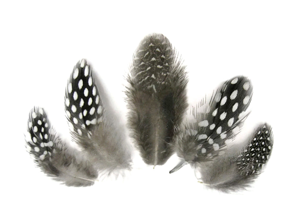 10 oz - Natural Pack Black White Accent Feathers for Wedding Centerpieces