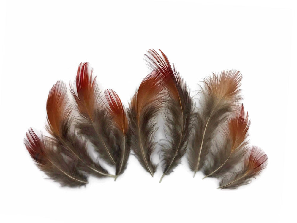 10 oz - Natural Pack Red Golden Accent Feathers for Wedding Bouquets & Boutonnieres
