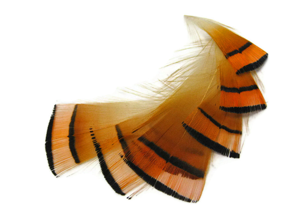 1 dozen - Natural Orange Golden Tippet Accent Feathers for Wedding Centerpieces