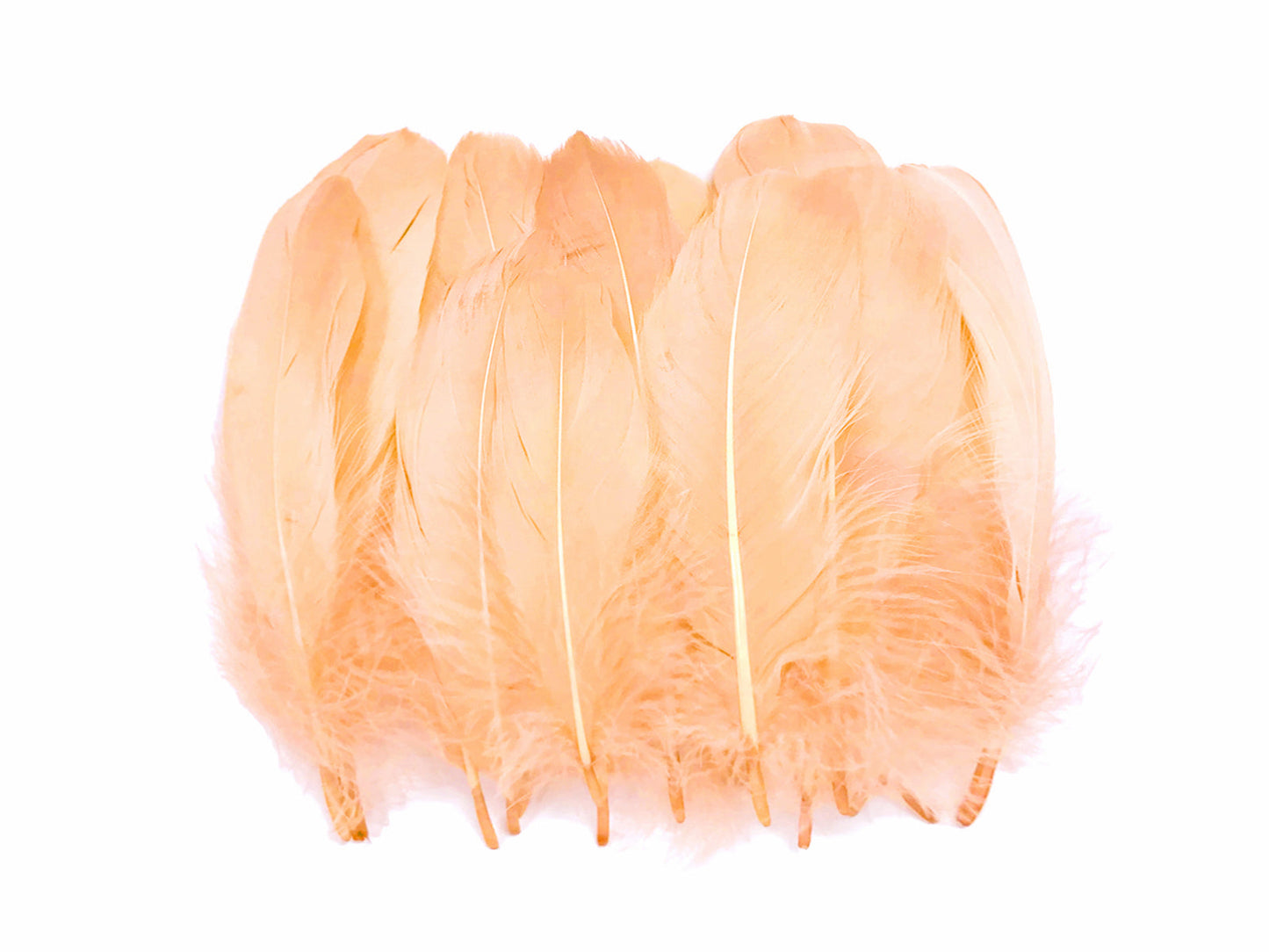 25 oz - Champagne Pack Nagoire Loose Accent Feathers for Wedding Bouquets & Boutonnieres