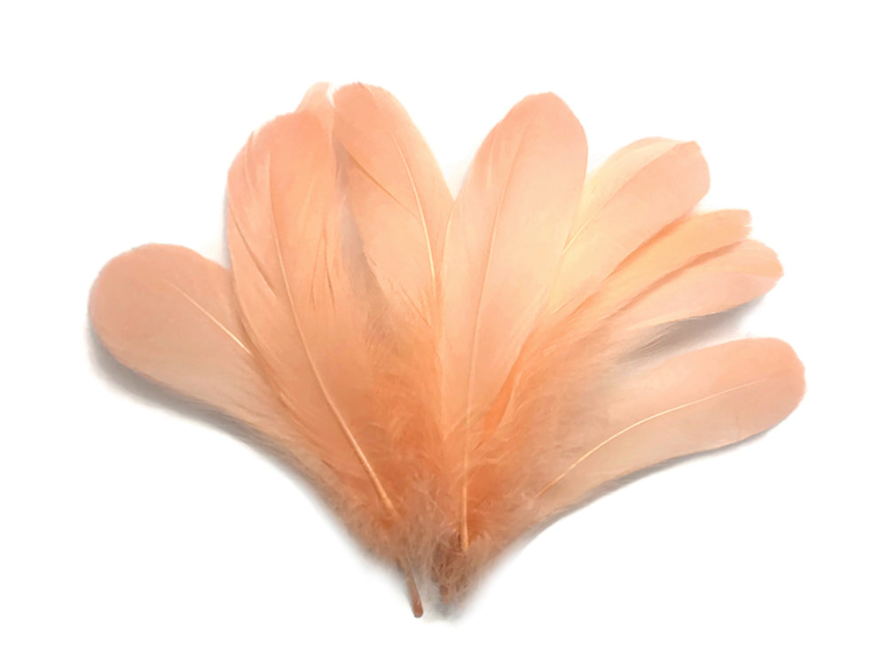 A quarter pound - Champagne Nagoire Accent Feathers for Wedding Backdrops & Arches