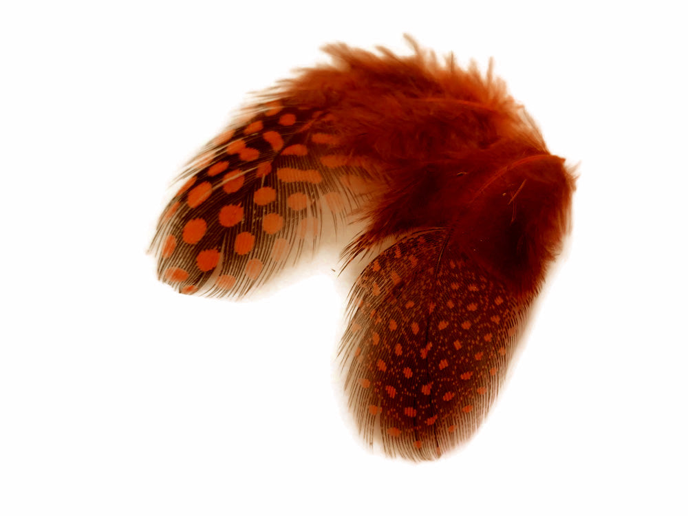 10 oz - Orange Pack Hen Polka Accent Feathers for Wedding Centerpieces