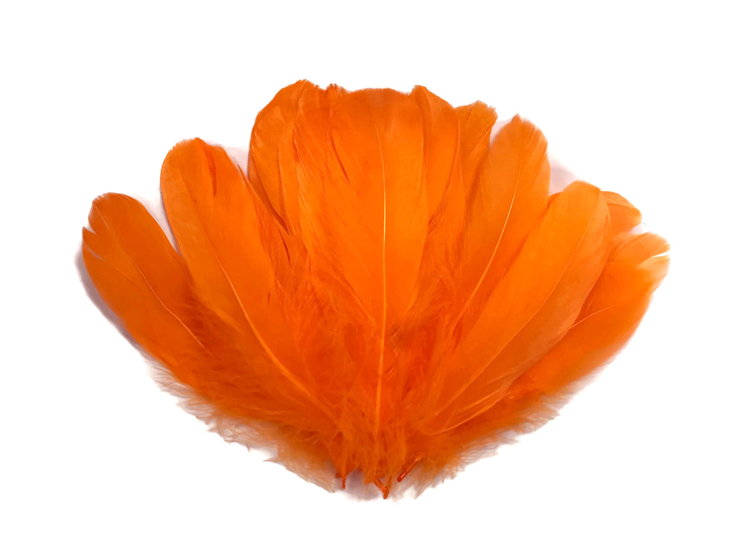 A quarter pound - Orange Nagoire Accent Feathers for Wedding Backdrops & Arches