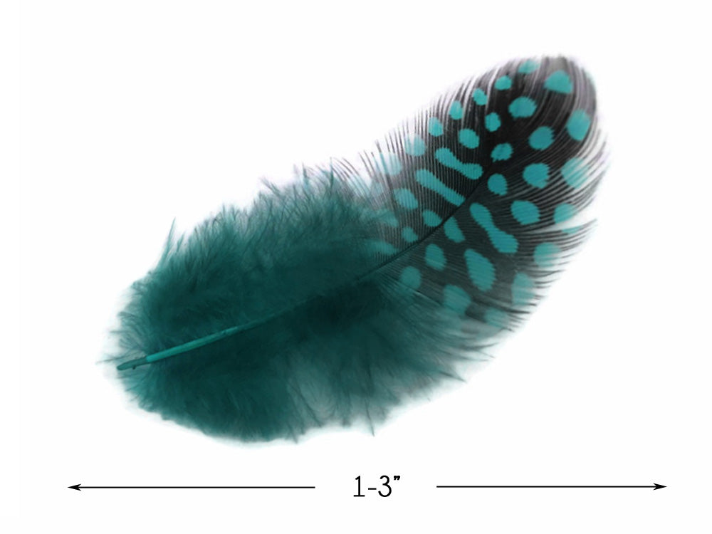 A quarter pound - Blue Guinea Hen Plumage Peacock Feathers for Wedding Backdrops & Arches