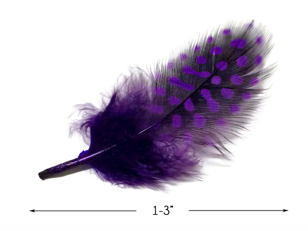 A quarter pound - Purple Hen Plumage Polka Accent Feathers for Wedding Backdrops & Arches