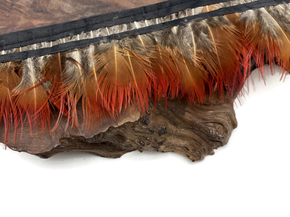 1 yard - Natural Red Golden Plumage Accent Feathers for Wedding Backdrops & Arches