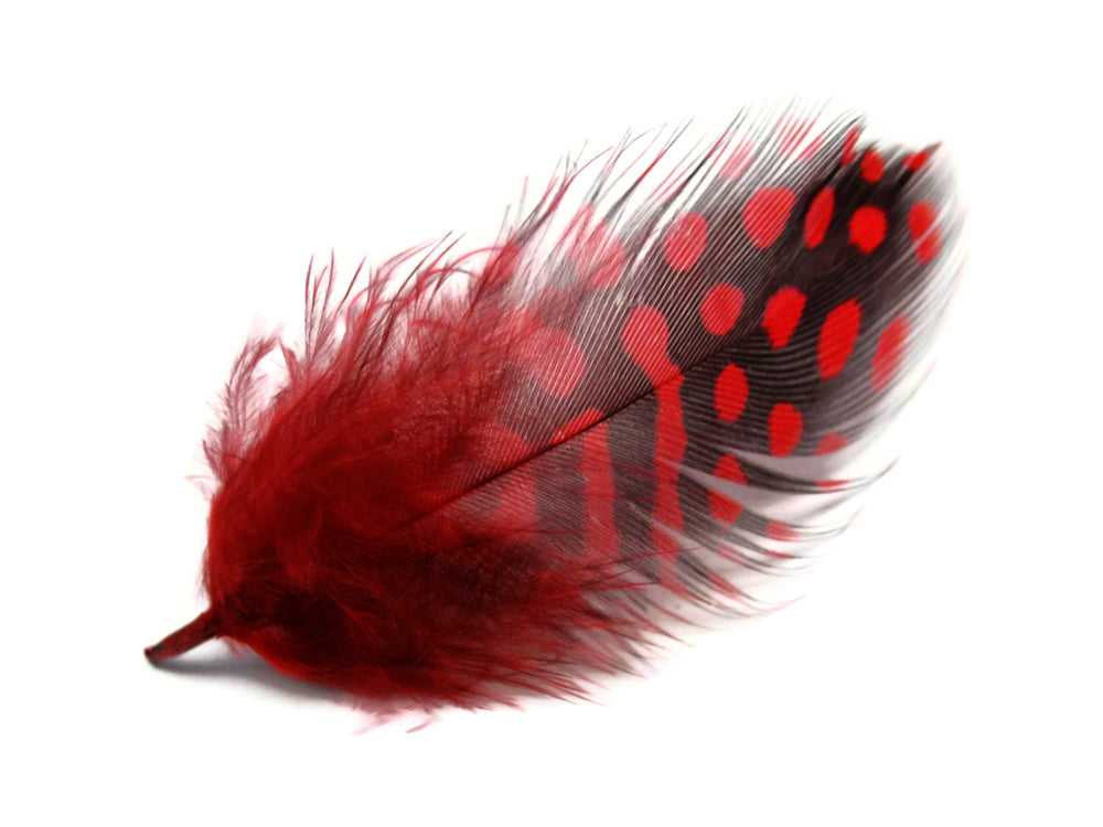 10 oz - Plum Pack Red Hen Accent Feathers for Wedding Centerpieces