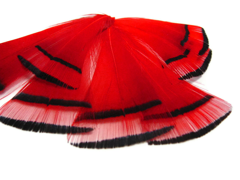 1 dozen - Gold Red Dyed Golden Accent Feathers for Wedding Centerpieces