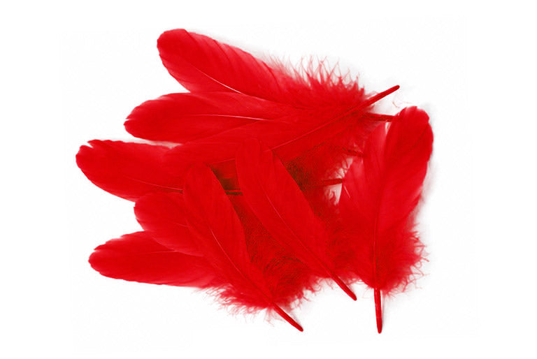 3 oz - Red Pack Satinettes Pallet Accent Feathers for Wedding Bouquets & Boutonnieres