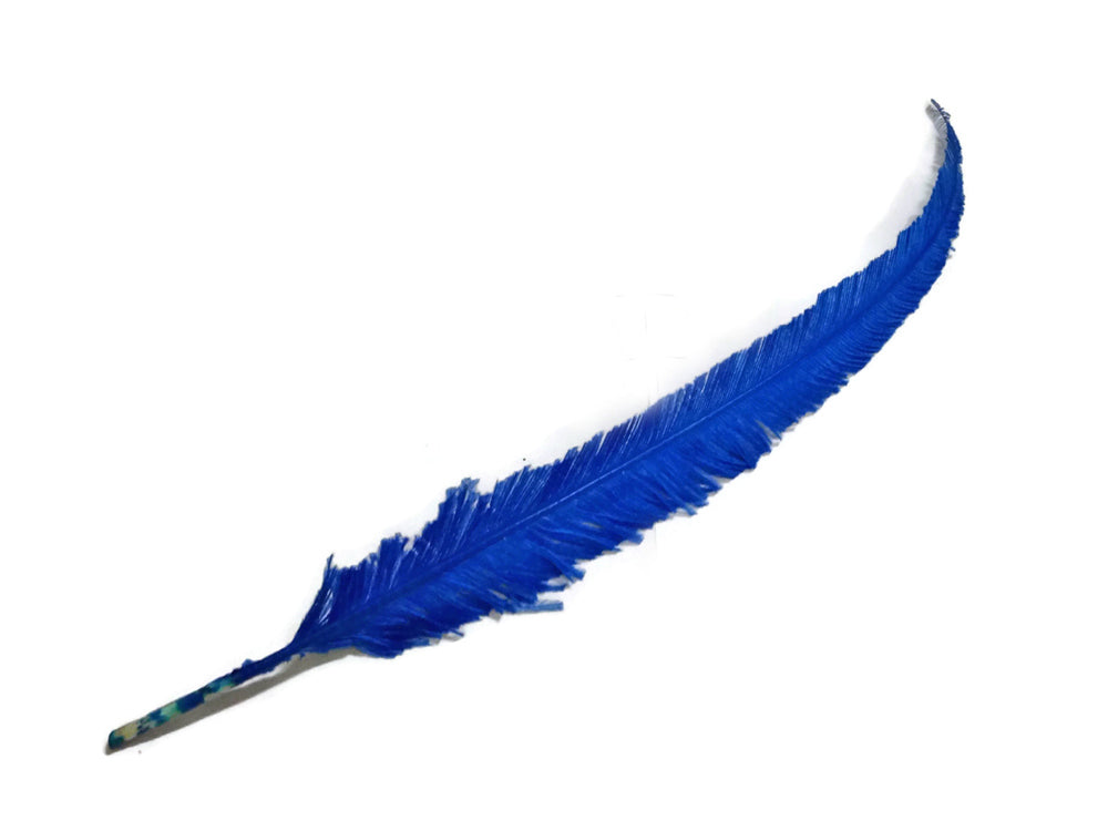 5 pieces - Royal Blue Nandu Trimmed Ostrich Feathers for Wedding Centerpieces