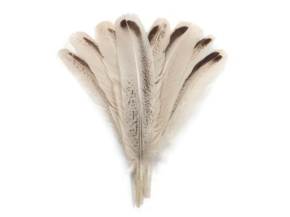 4 pieces - Royal Palm Wild Accent Feathers for Wedding Centerpieces