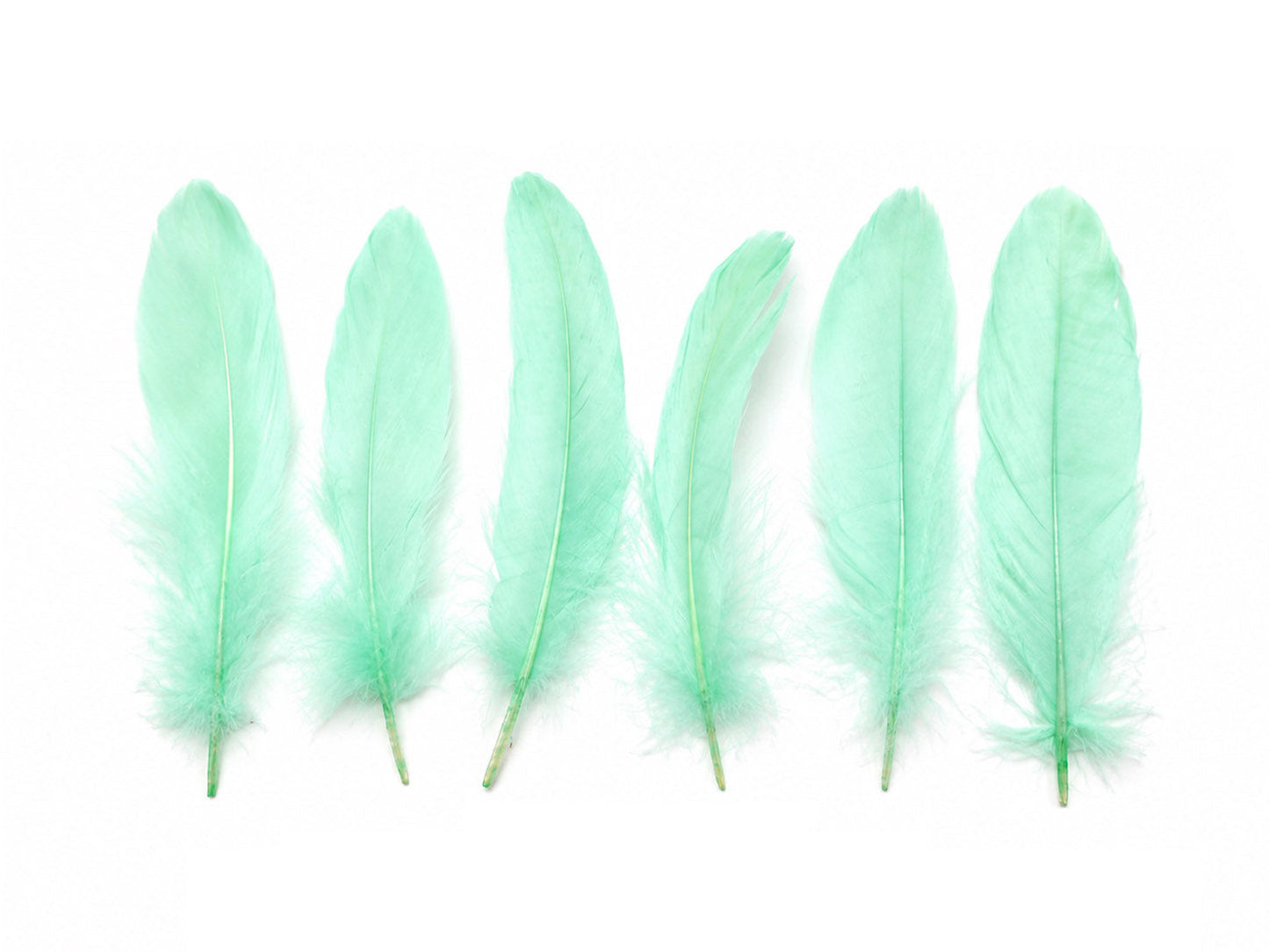 A quarter pound - Aqua Blue Satinettes Pallet Accent Feathers for Wedding Backdrops & Arches