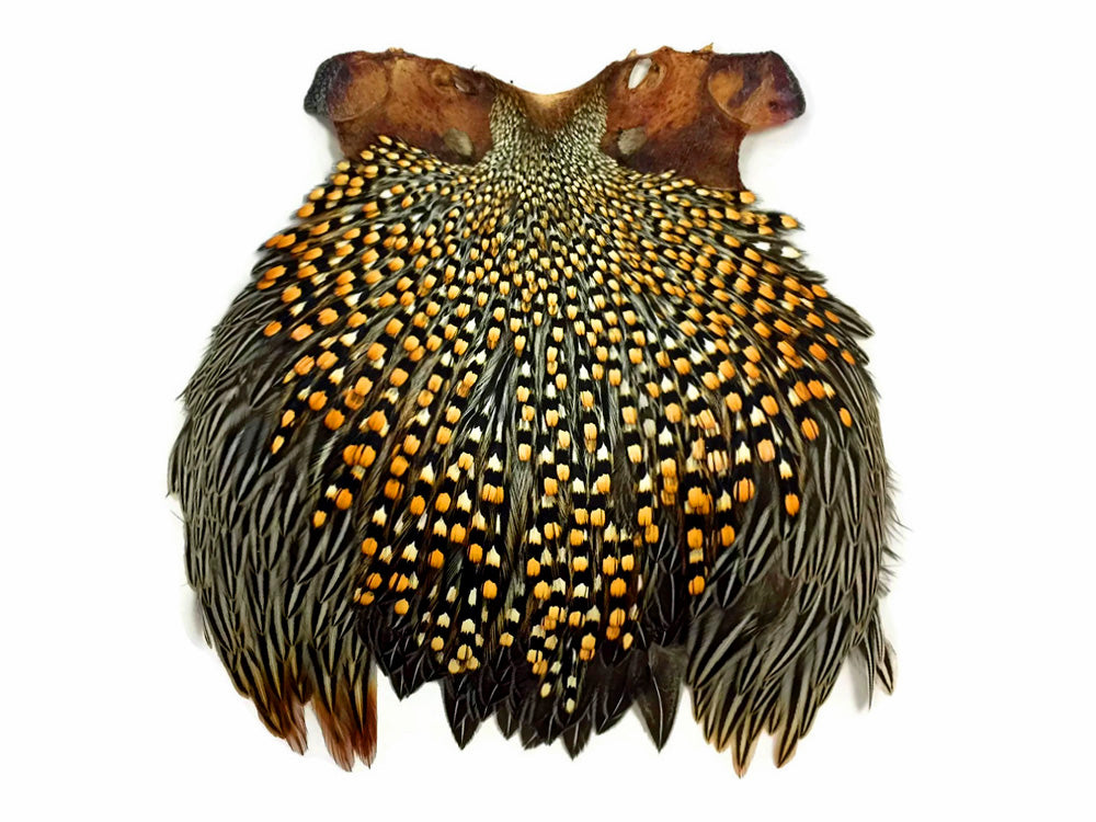 1 piece - Natural Top Grade Gold Accent Feathers for Wedding Backdrops & Arches