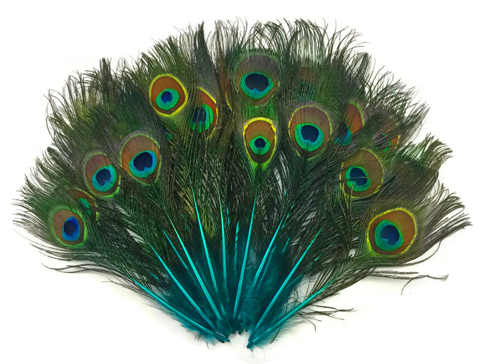50 Pieces - Turquoise Blue Mini Natural Peacock Tail Body Feathers With Eyes Ama