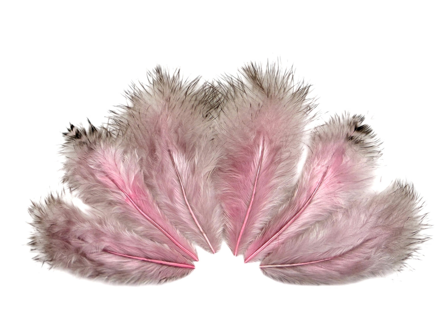 1 dozen - Grizzly Unique Pink Mini Accent Feathers for Wedding Bridal Accessories