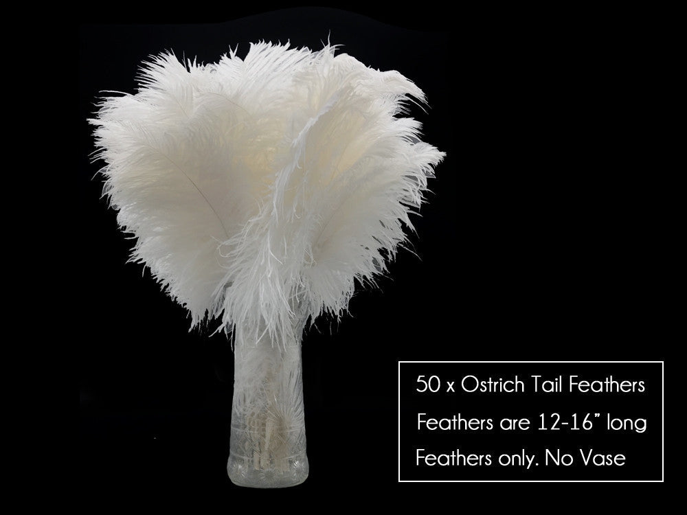 50 Pieces - 12-16" Snow White Ostrich Tail Centerpiece Costume Wholesale Feathers (Bulk)