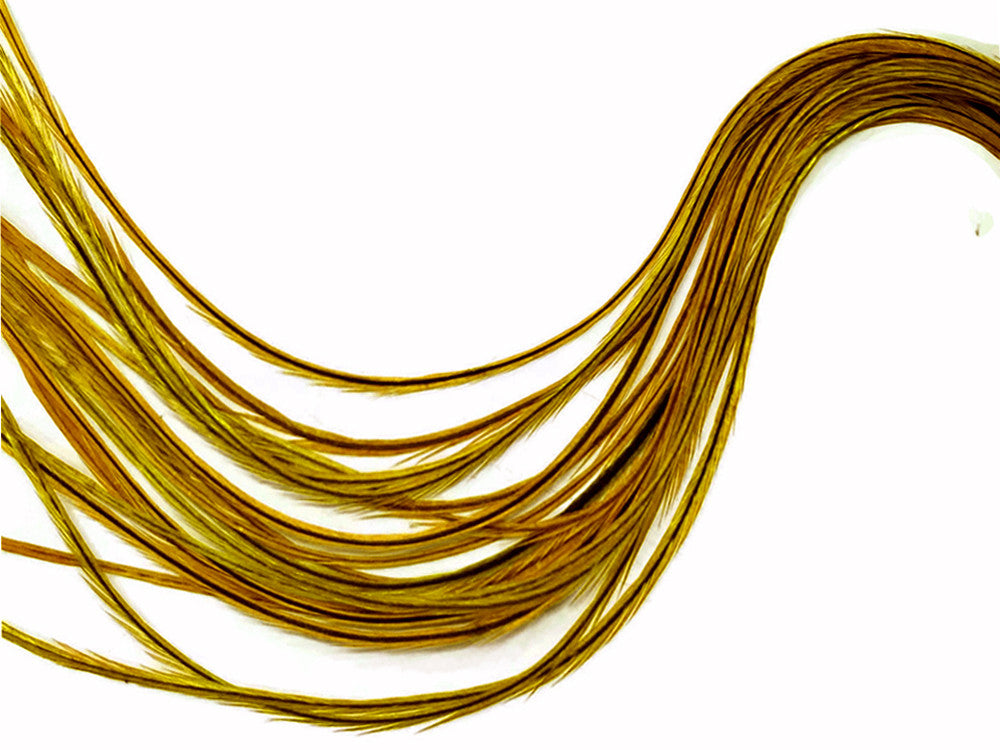 6 Pieces - XL Yellow Badger Thin Whiting Farm Rooster Hair Extension Feathers 11” and Up