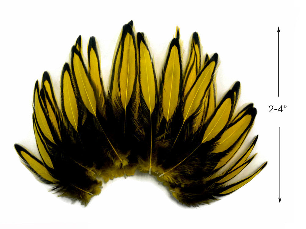 1 Dozen - Yellow Whiting Farms BLW Laced Hen Cape Loose Feathers