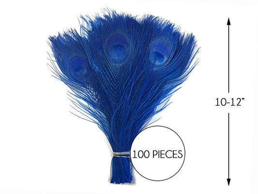 100 Pieces – Royal Blue Bleached & Dyed Peacock Tail Eye Wholesale Feathers (Bulk) 10-12” Long 