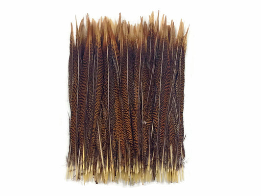 50 Pieces - 14-16" Natural Golden Pheasant Tail Wholesale Feathers (Bulk)