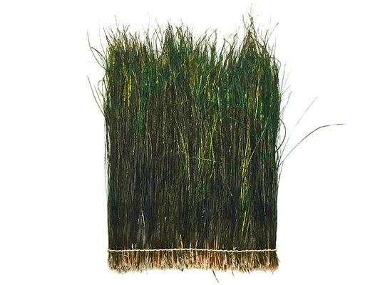 3 Inch Strip - 5-7" Natural Iridescent Green Peacock Flue / Herl Strung Feathers