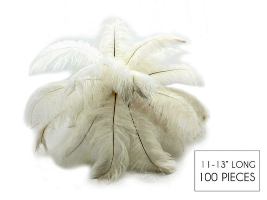 100 Pieces - 11-13" Off White Ostrich Drabs Wholesale Body Feathers (Bulk)