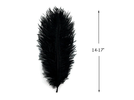 10 Pieces - 14-17"  Black Ostrich Dyed Drab Body Feathers