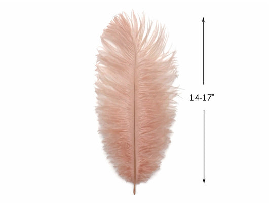 10 Pieces - 14-17" Champagne Ostrich Dyed Drab Large Body Feathers