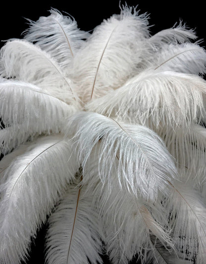 25 Pieces - 14-17" Off White Ostrich Drab Centerpiece Feathers Sets - Amazon