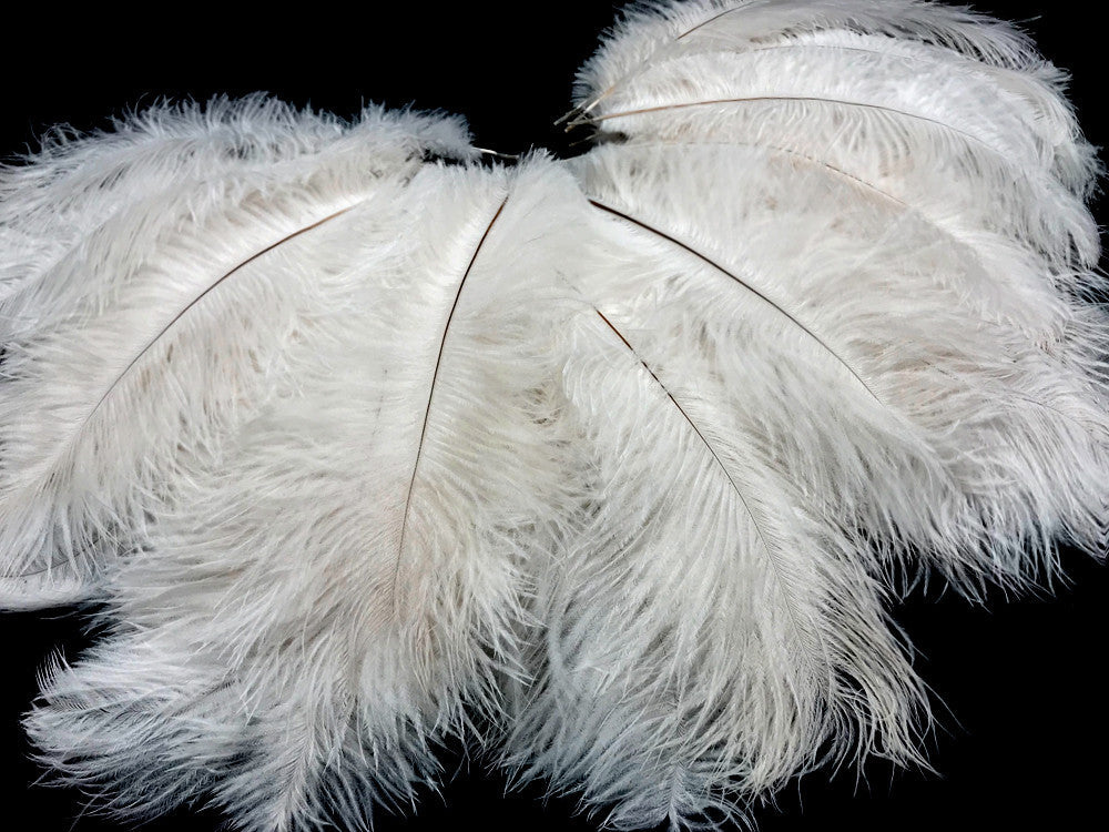 1/2 Lb. - 9-13" Off White Bleached Ostrich Body Drab Wholesale Feathers (Bulk)