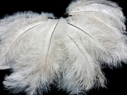 1/2 Lb. - 9-13" Off White Bleached Ostrich Body Drab Wholesale Feathers (Bulk)