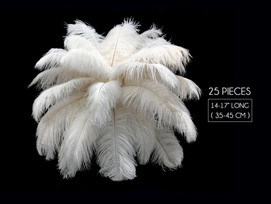 25 Pieces - 14-17" Off White Ostrich Drab Centerpiece Feathers Sets